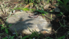 DSC02130.JPG